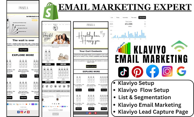 Gig Preview - Setup klaviyo flows, klaviyo email marketing,for shopify klaviyo campaign