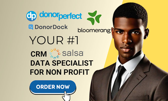 Gig Preview - Design nonprofit website setup donorperfect blackbaud donordock bloomerang salsa