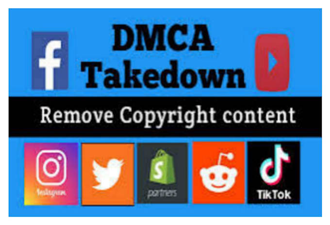 Gig Preview - Send dmca takedown notice to remove copyright infringing leaked on under dmca