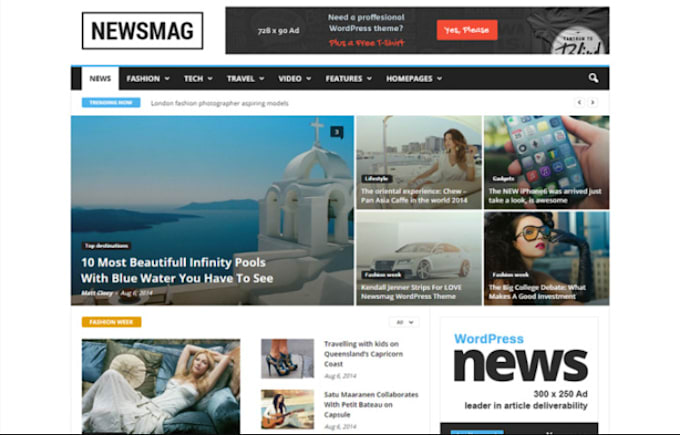 Gig Preview - Create professional wordpress automated news website or blog website super fast