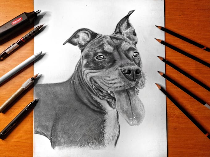 Gig Preview - Create realistic  pencil sketch pet animal portrait drawing