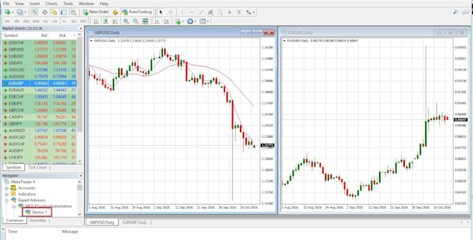 Gig Preview - Build forex trading custom indicator mt5 expert advisor, mt4 forex eas wit mql