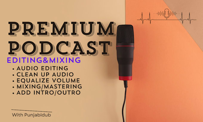 Gig Preview - Do premium quality podcast audio and video editing