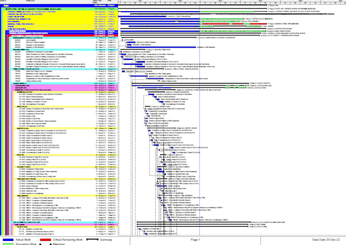 Bestseller - deliver small project schedules on primavera p6 or ms project