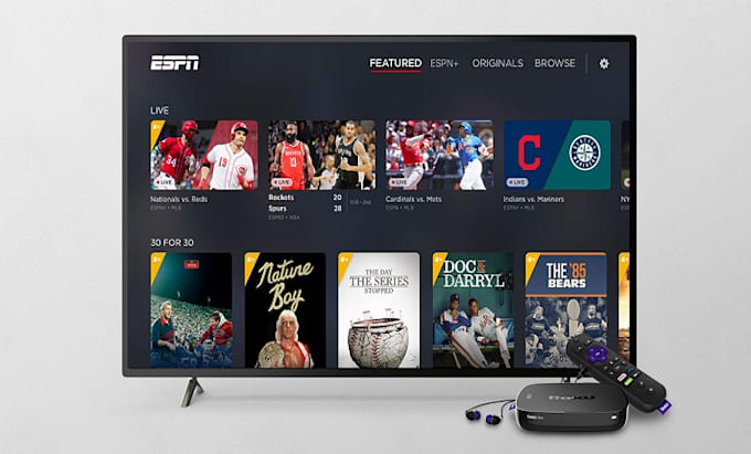 Gig Preview - Develop professional roku sdk channel and fire tv channel