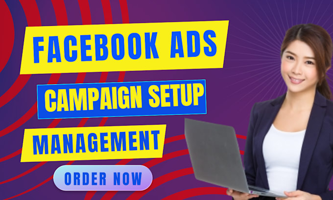 Gig Preview - Setup and manage facebook and instagram ads for any business