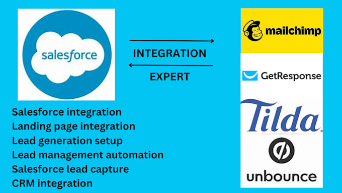 Gig Preview - Landing page integration with salesforce for lead generation, lead management