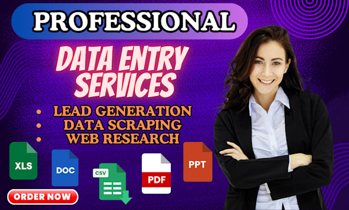 Gig Preview - Do accurate data entry, web research, excel data entry in 24