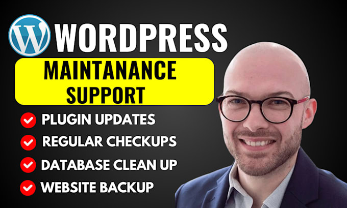 Gig Preview - Provide maintenance and support for your wordpress website