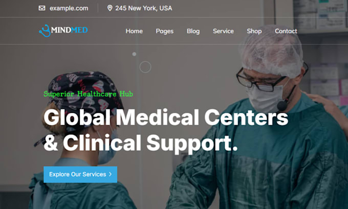 Gig Preview - Make a professional medical and healthcare website