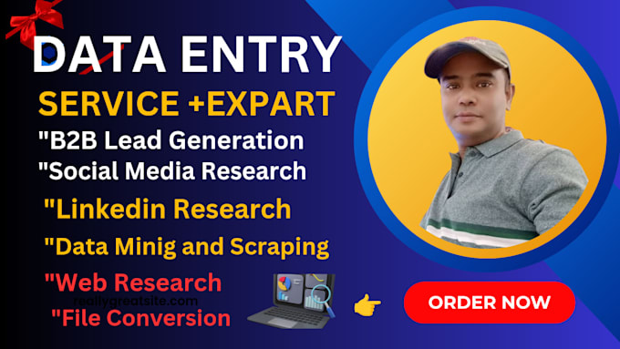 Bestseller - professlonally data entry expart in fiverr