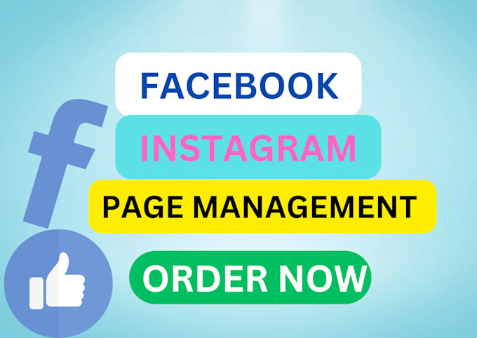 Gig Preview - Do your facebook and instagram page management