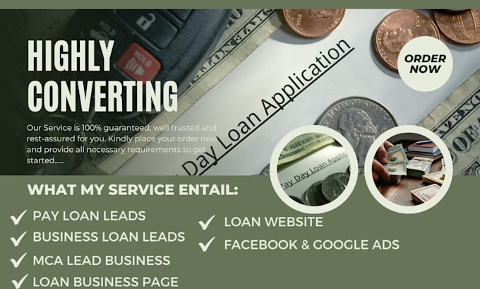 Gig Preview - Payday loan leads business loan leads mca leads loan website money lending