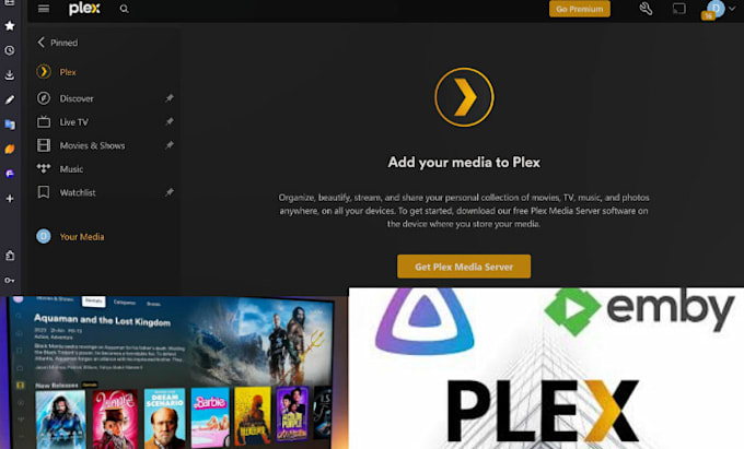 Gig Preview - Configure your plex media server, jelly fin, emby server, radar, sonarr, iptv