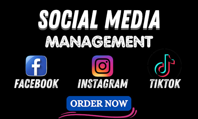 Gig Preview - Manage and grow your social media accounts to boost engagement