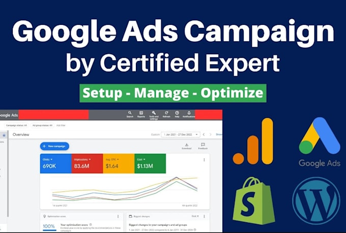 Gig Preview - Setup manage and optimize your google ads adwords campaign PPC from scratch