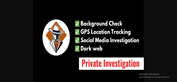 Gig Preview - Private investigator, private investigation, background check, online detective