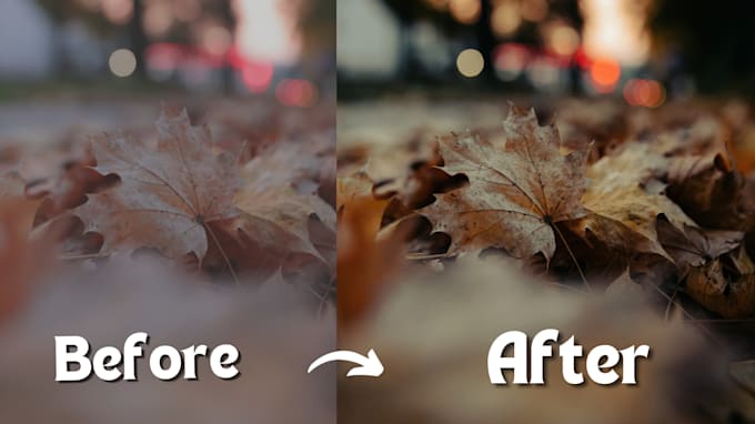 Gig Preview - Do photo color correction and culling in lightroom