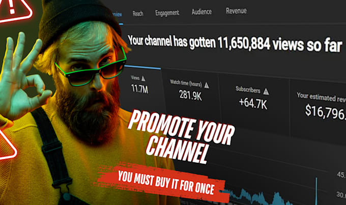 Gig Preview - Do organic channel promotion for complete youtube monetization