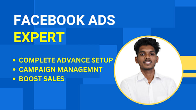 Gig Preview - Set up facebook and instagram ads for leads and sales