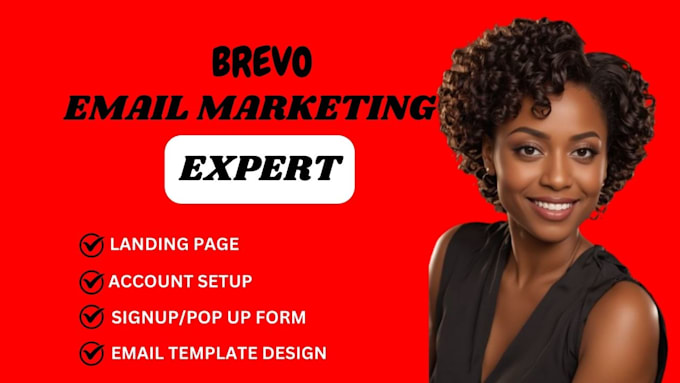 Gig Preview - Set up email marketing, sales funnels, and automation with brevo or klaviyo