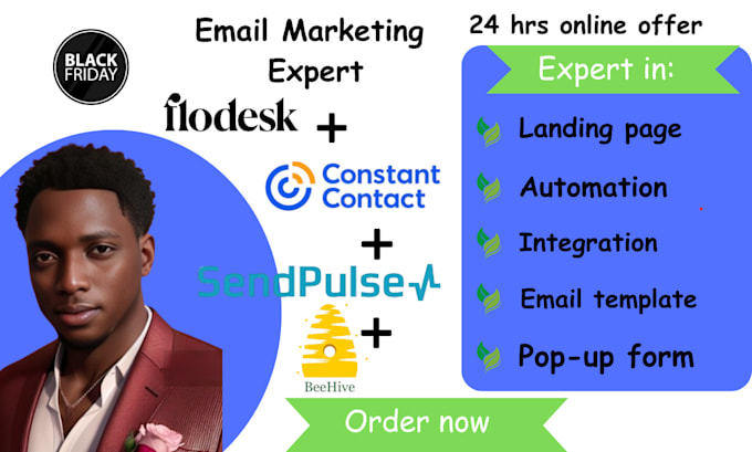 Gig Preview - Do email marketing in sendpulse, flodesk,constant contact and beehive automation