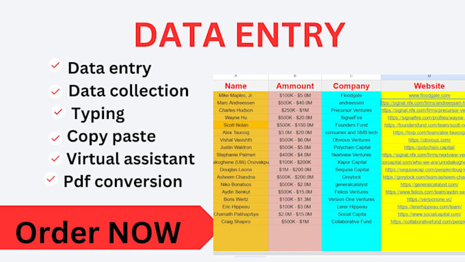 Gig Preview - Do data entry,copy paste,web research,typing,pdf to excel