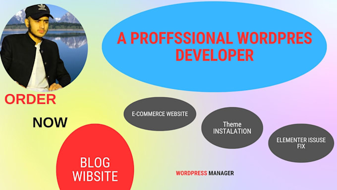 Gig Preview - Do wordpress website, theme instalation, and seo