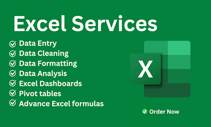 Bestseller - do excel data entry, data cleaning, data formatting