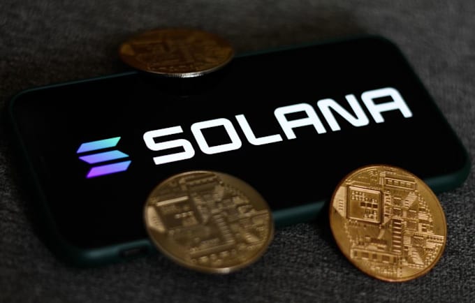 Gig Preview - Make  token launch pump fun launchpad volume holder bot on solana ton sui