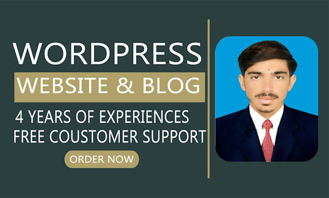 Gig Preview - Create a professional responsive wordpress website design or redesign