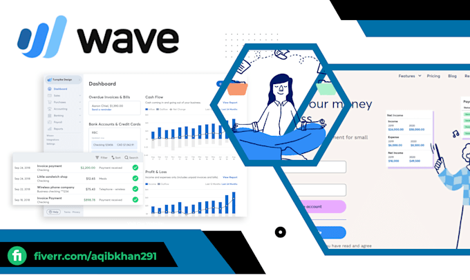 Gig Preview - Do bookkeeping, bank reconciliation, and profit and loss in wave