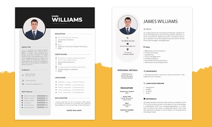 Bestseller - design professional cvs and resumes in multiple formats