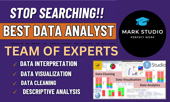 Gig Preview - Analyze, interpret, and report quantitative data for research using spss