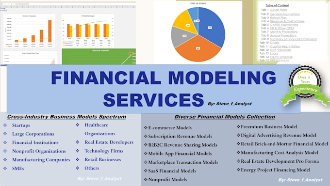 Gig Preview - Do financial modeling and valuation expert