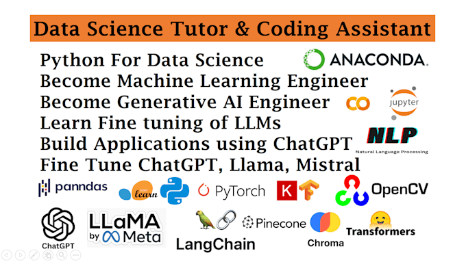 Gig Preview - Be your python, data science, ml, nlp, generative ai, tutor and coding assistant