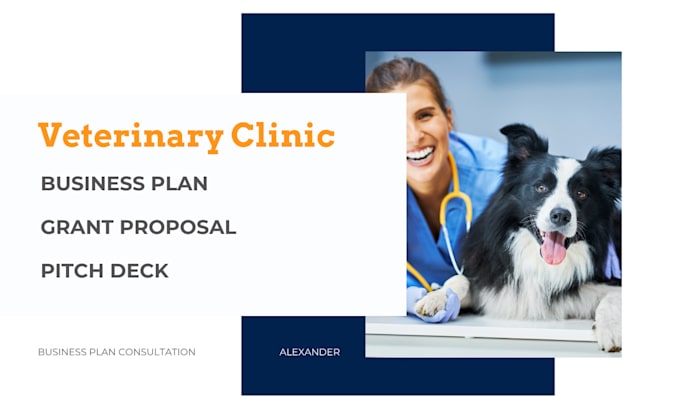 Gig Preview - Create an investor ready veterinary business plan for USA, UK, ca vet clinics