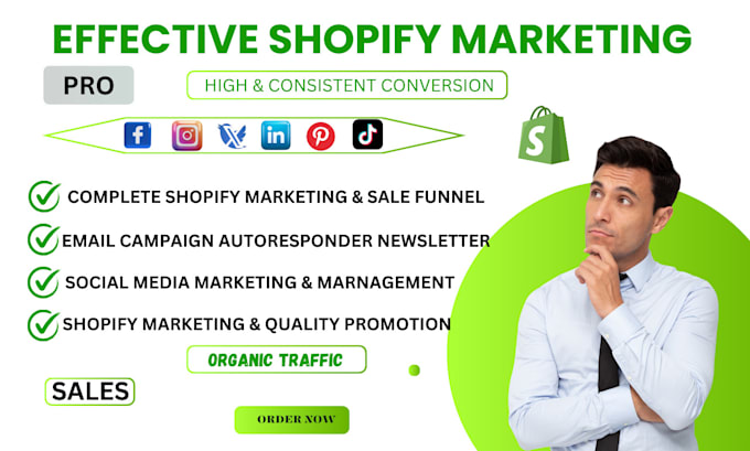 Gig Preview - Setup shopify ecommerce klaviyo email marketing flows sales funnel