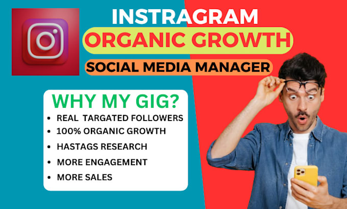 Gig Preview - Do organic instagram growth and social media management