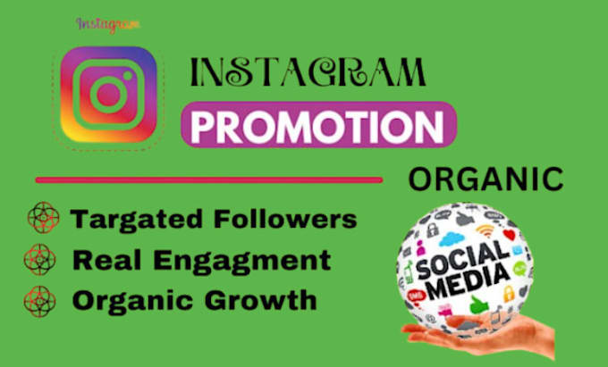 Gig Preview - Do organic instagram growth, promotion and marketing