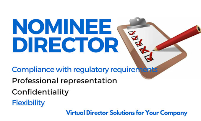 Gig Preview - Provide nominee director services virtual director solutions for your company