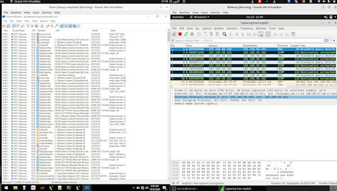 Gig Preview - Do professional malware analysis and reverse engineering with detailed report