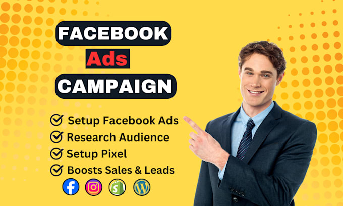 Gig Preview - Setup facebook ads campaign for leads