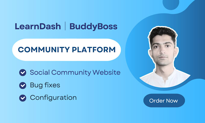 Gig Preview - Build a premium learndash or buddyboss or community website