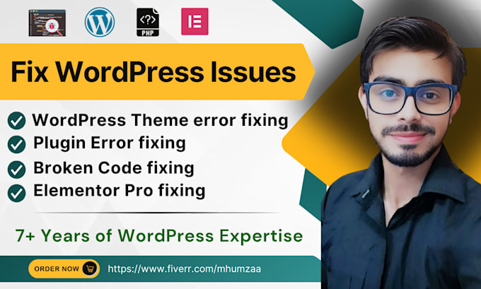 Gig Preview - Fix bugs and issues on your wordpress website