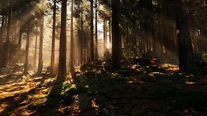 Gig Preview - Create a 3d game environment in unreal engine game environment 3d game character