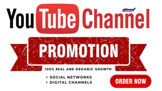 Gig Preview - Do super fast organic USA youtube channel promotion USA video marketing