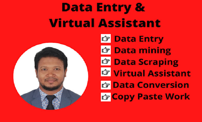 Gig Preview - Be your virtual assistant for your data entry job