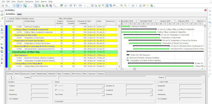 Bestseller - prepare schedule on primavera p6 and ms project