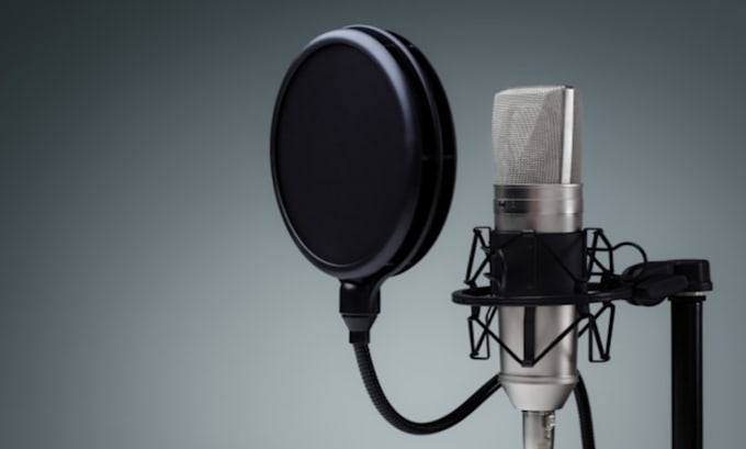 Gig Preview - Professionally voice over and record your presentation